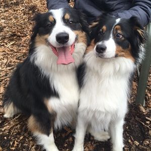 Meet your Posher, Emma